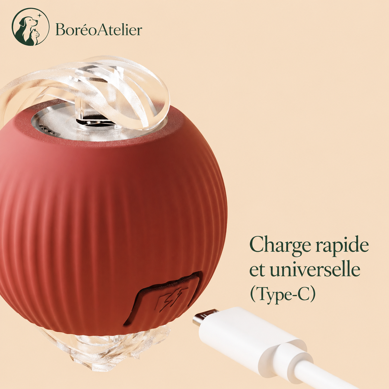 Charge USB-C rapide